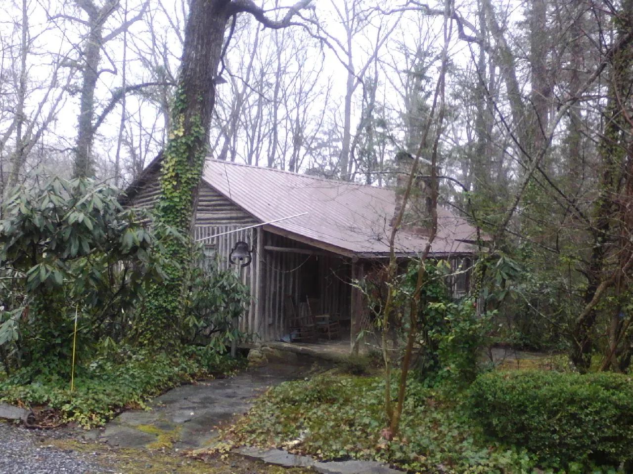Weathered metal roof on an old board sided cabin in the woods in Buena Park